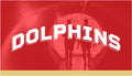 Congratulations Dolphins!